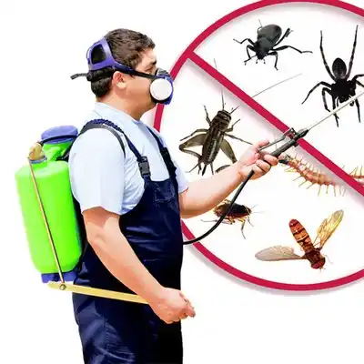 pest control Berrien Springs